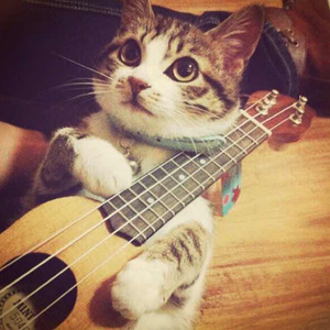 黑人性猛交❌❌❌❌裸体舞表演
